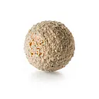 Polishing ball coated with polishing agent for all types of water and special hydraulic conditions